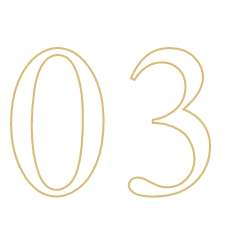 03